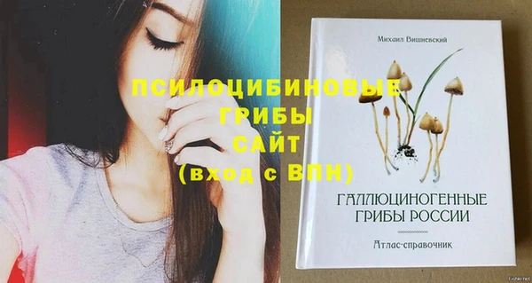шишки Аркадак