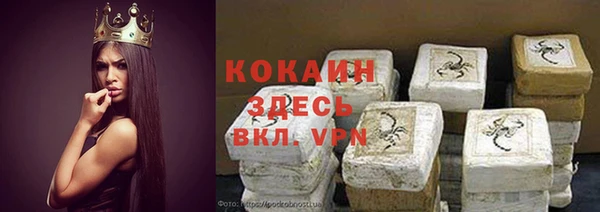 прущие грибы Арсеньев