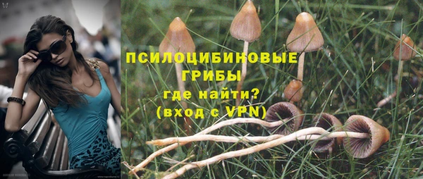 шишки Аркадак