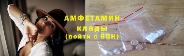 шишки Аркадак