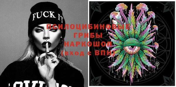 шишки Аркадак