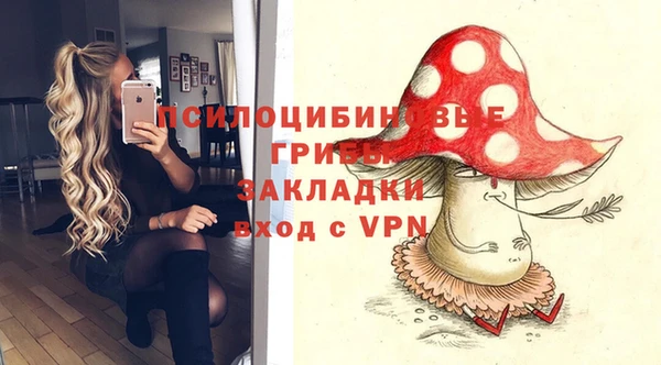 прущие грибы Арсеньев