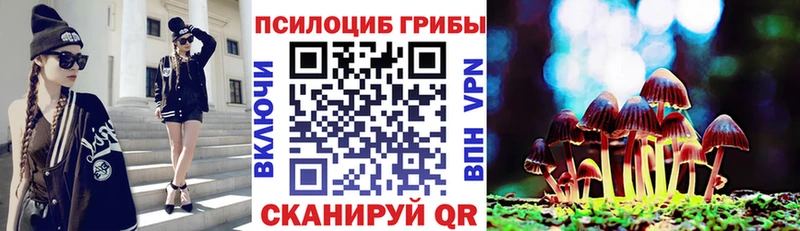 Псилоцибиновые грибы ЛСД  Новотроицк 